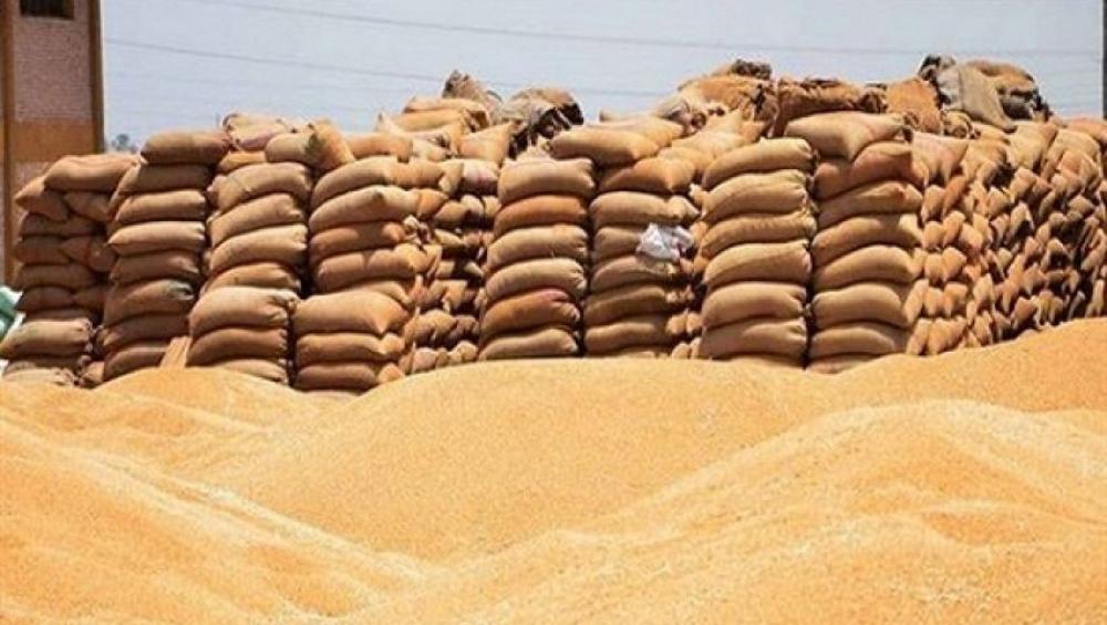 سوريا تتسلّم دفعة جديدة من القمح الروسي