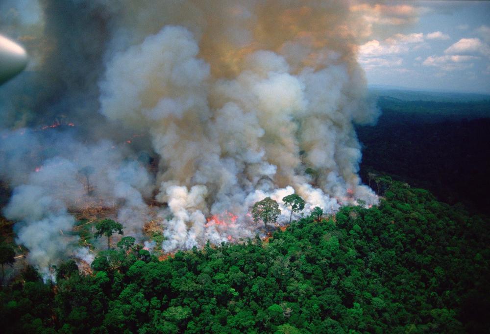 "حرائق الأمازون" تشعل أزمة !