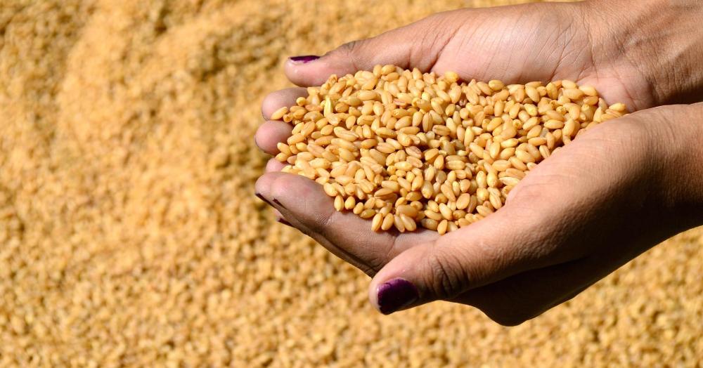 الأمم المتحدة تعلن إرسال آلاف الأطنان من القمح إلى لبنان 