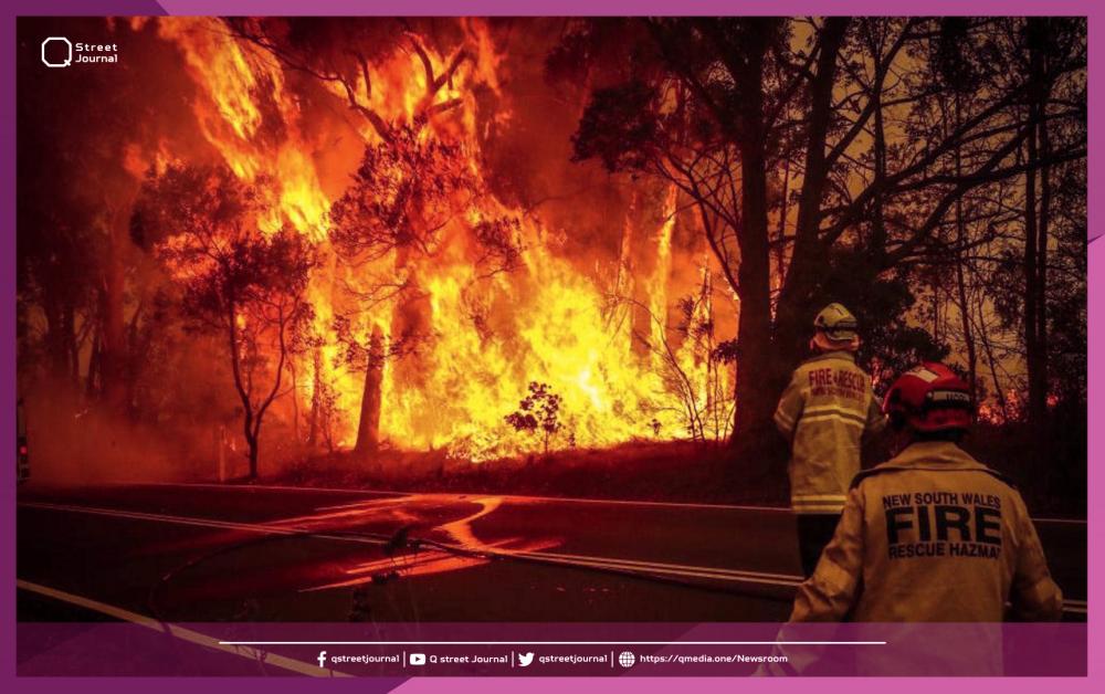 حرائق الغابات في أستراليا تصل إلى مستوى الطوارئ