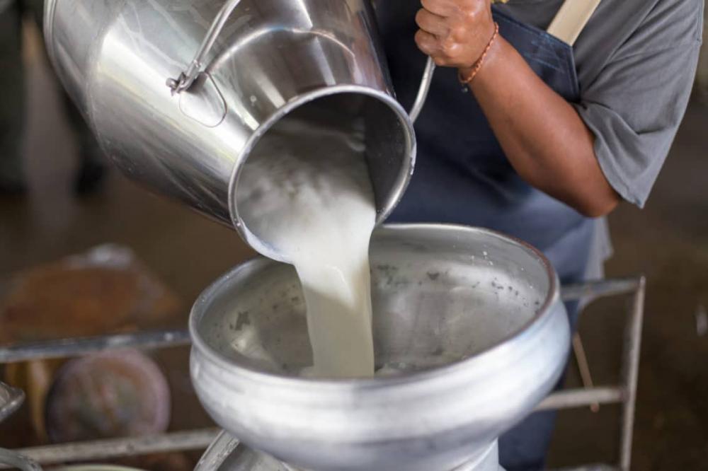أسعار الحليب تحلق.. و«الاقتصادية» ترفض منع تصديره !