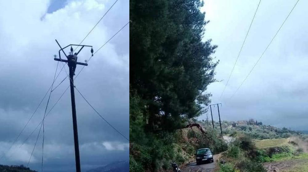 "شجرة صنوبر" تقطع الكهرباء عن قرية في "بانياس"