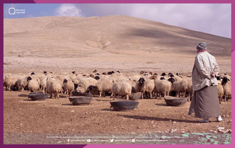 داعش يرتكب مجزرة جديدة في البادية
