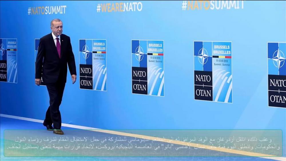 محاولات أردوغان بجر الناتو إلى إدلب.. وسوتشي مبدئي بنظر بوتين