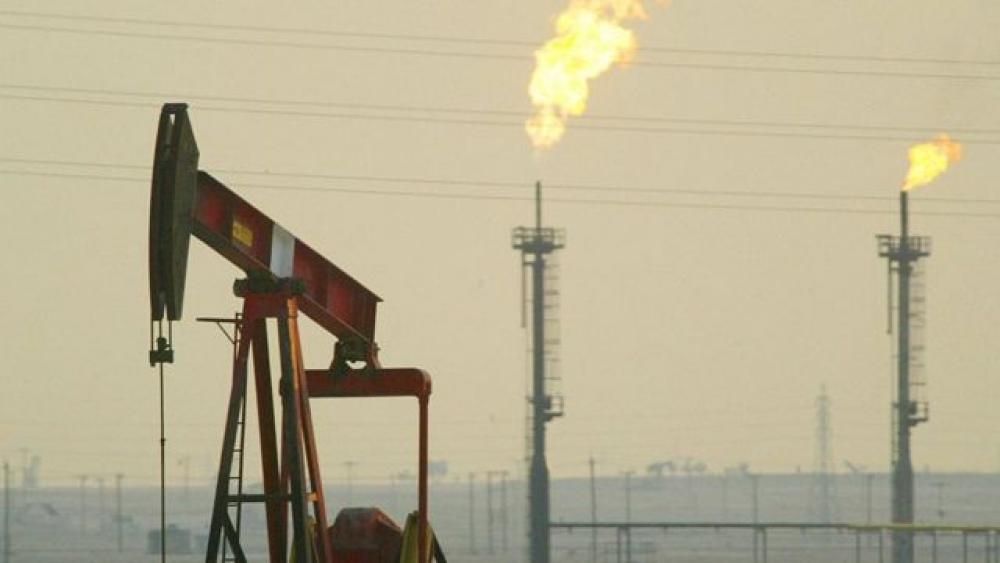 هبوط كبير في أسعار «النفط»
