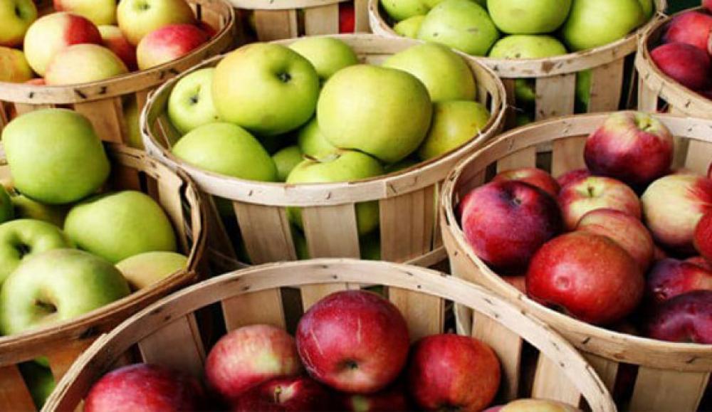  فساد في موسم تفاح السويداء.. و الزراعة: ليس لديها رصيد للتعويض إلا النصف