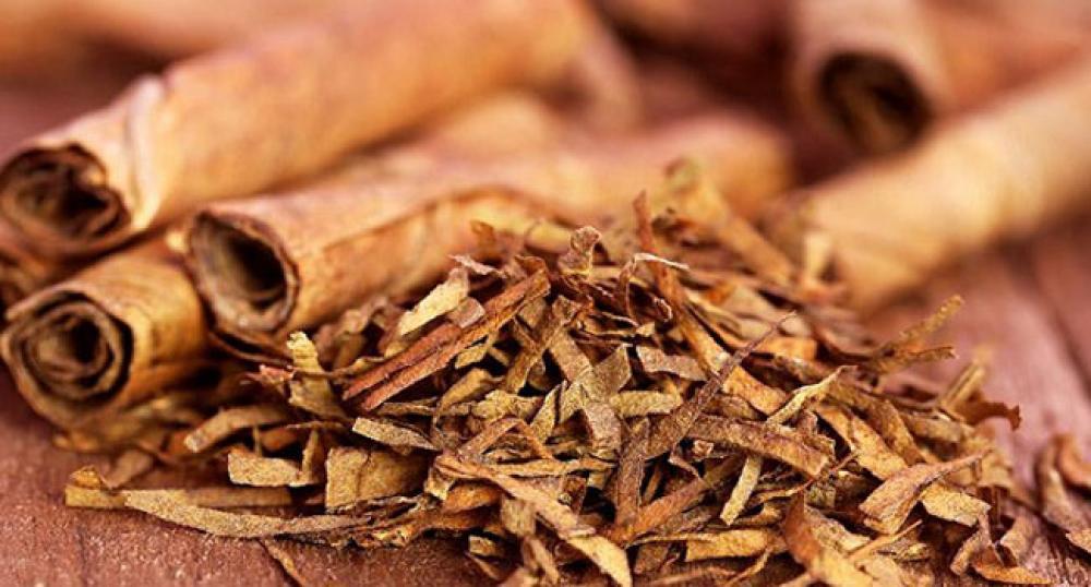 سوريا: محصول التبغ ينجو من العواصف