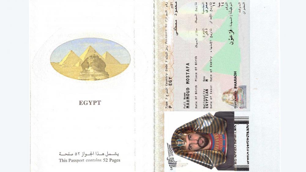 الاستثمار مقابل الجنسية المصرية 