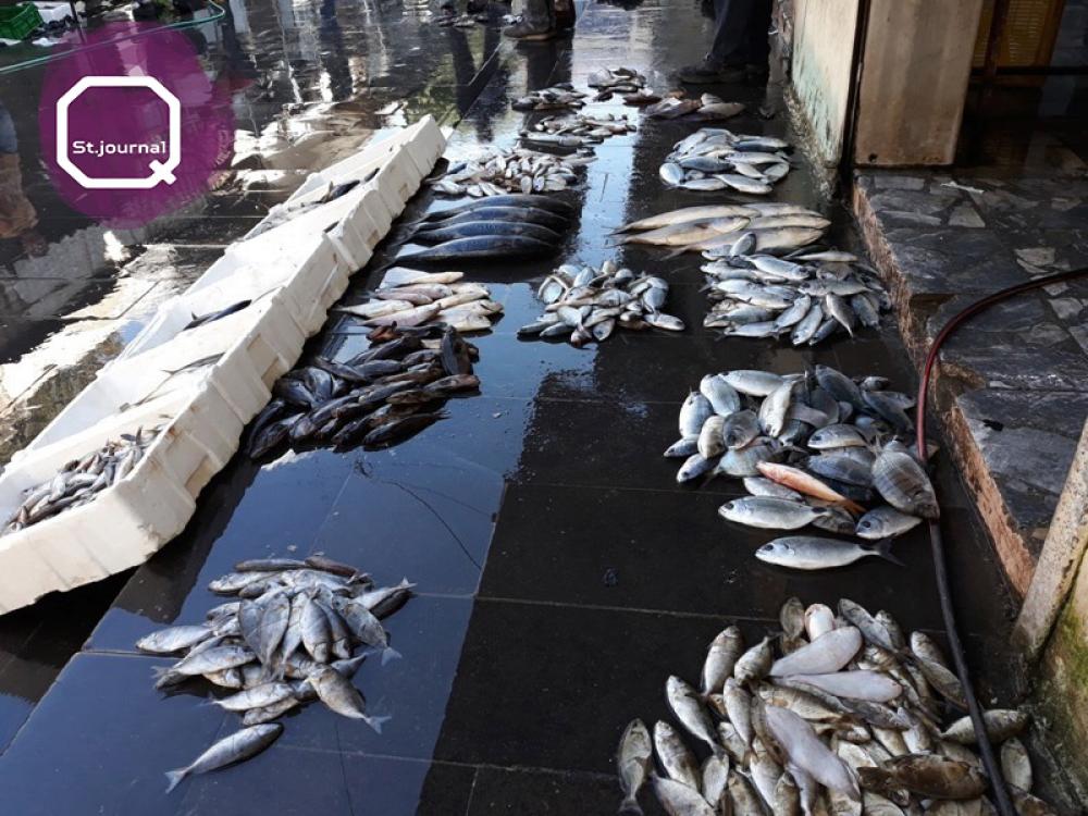 صيد السمك وفير.. والسوق محكوم بالعرض والطلب في رمضان