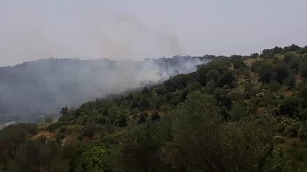 الحرائق الزراعية في "طرطوس" تطغى على الحرائق الحراجية