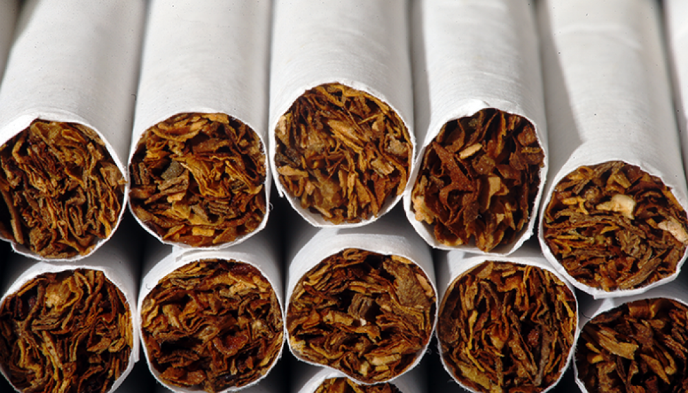 كم بلغت تكلفة إنتاج التبغ خلال العام الماضي.. ؟!
