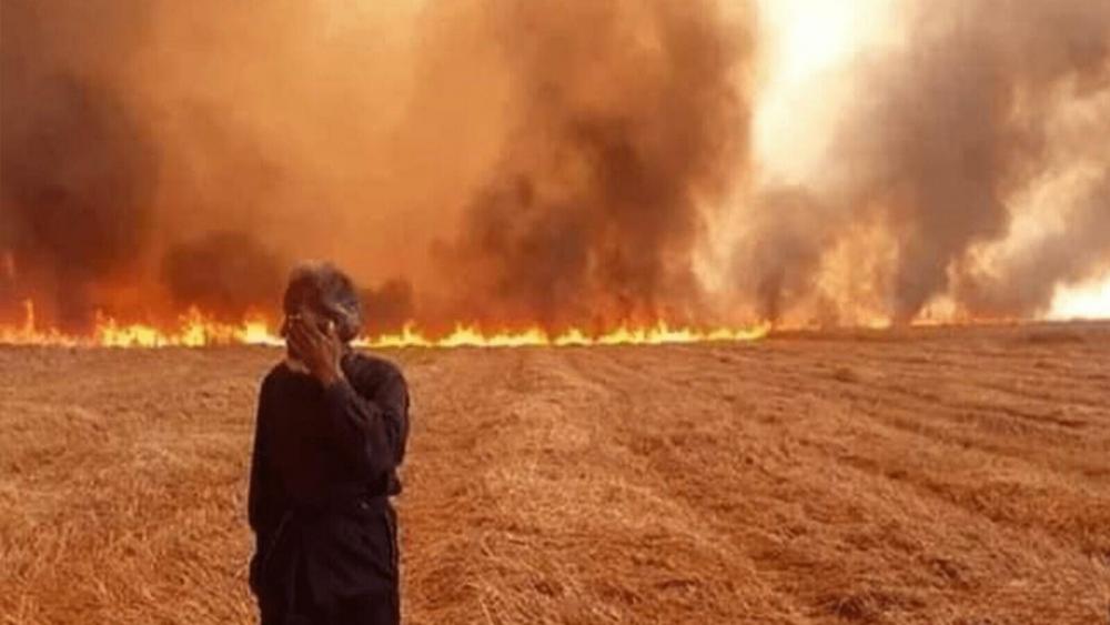  ! وزير الزراعة: الحرائق غير مشمولة في تعويضات صندوق الجفاف