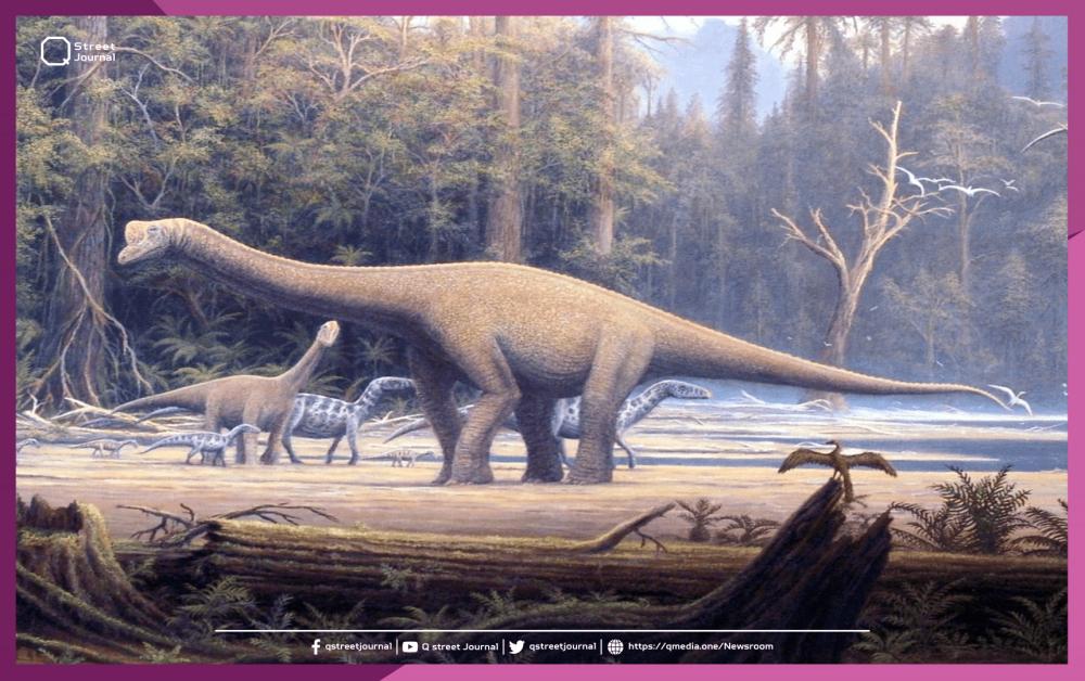 فصيلة ديناصورات جديدة من «أكبر» الفصائل المكتشفة في العالم