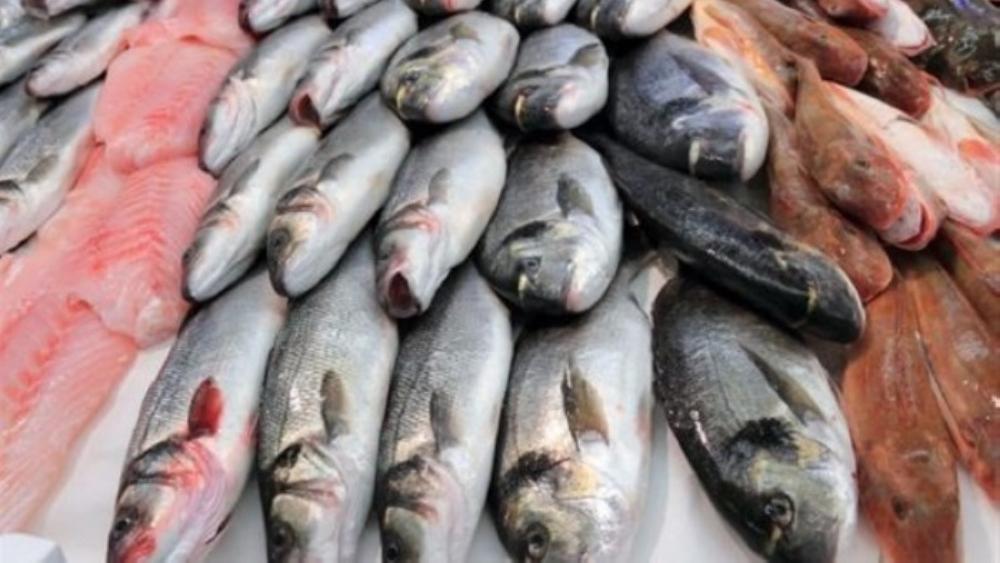ما حقيقة انتشار سمك مسموم في سوريا ؟
