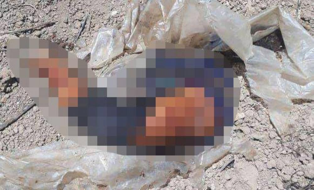 العثور على جثتين لسوريتين في لبنان