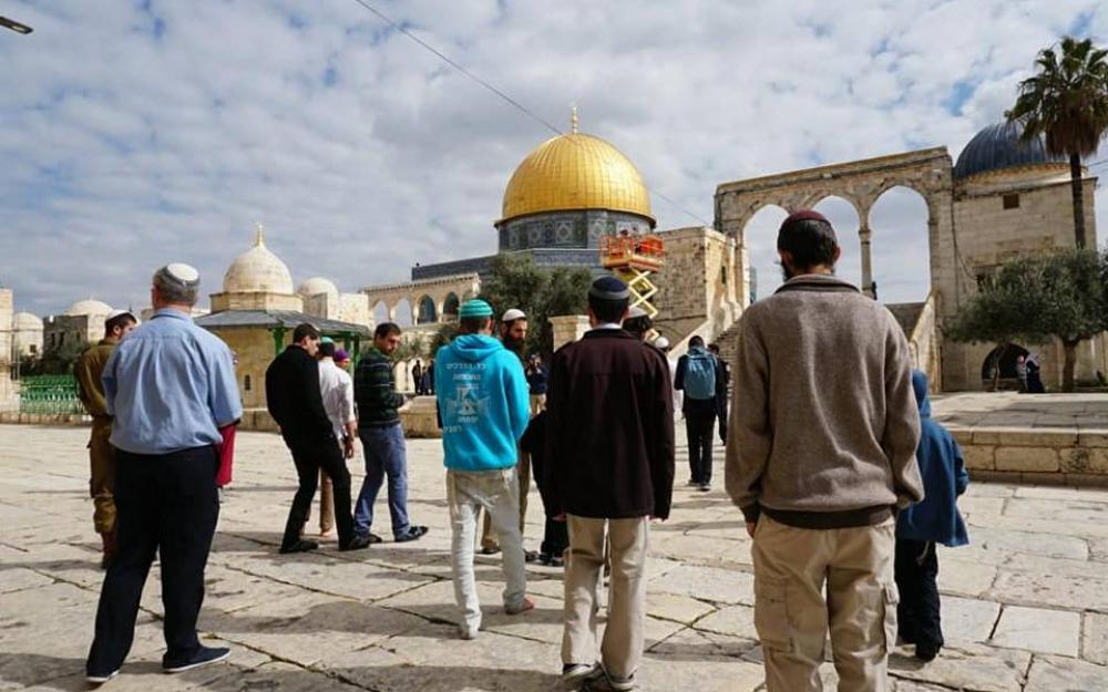 "جماعات الهيكل" تُهدد باقتحام واسع للأقصى أواخر رمضان