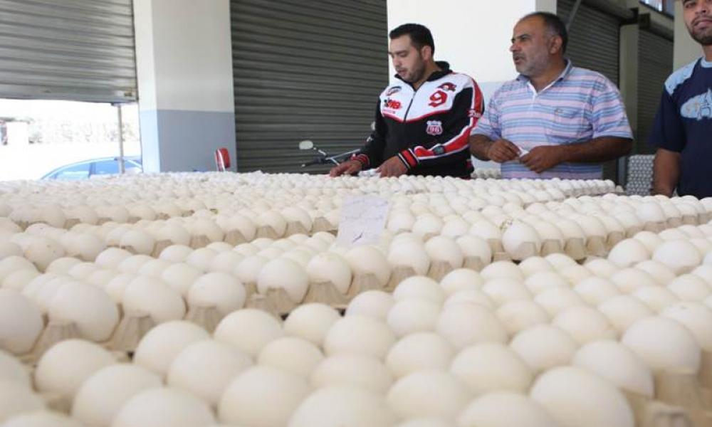 «يا بيض مين يشتريك».. هل يصل الصحن إلى 6 آلاف ليرة سورية ؟!