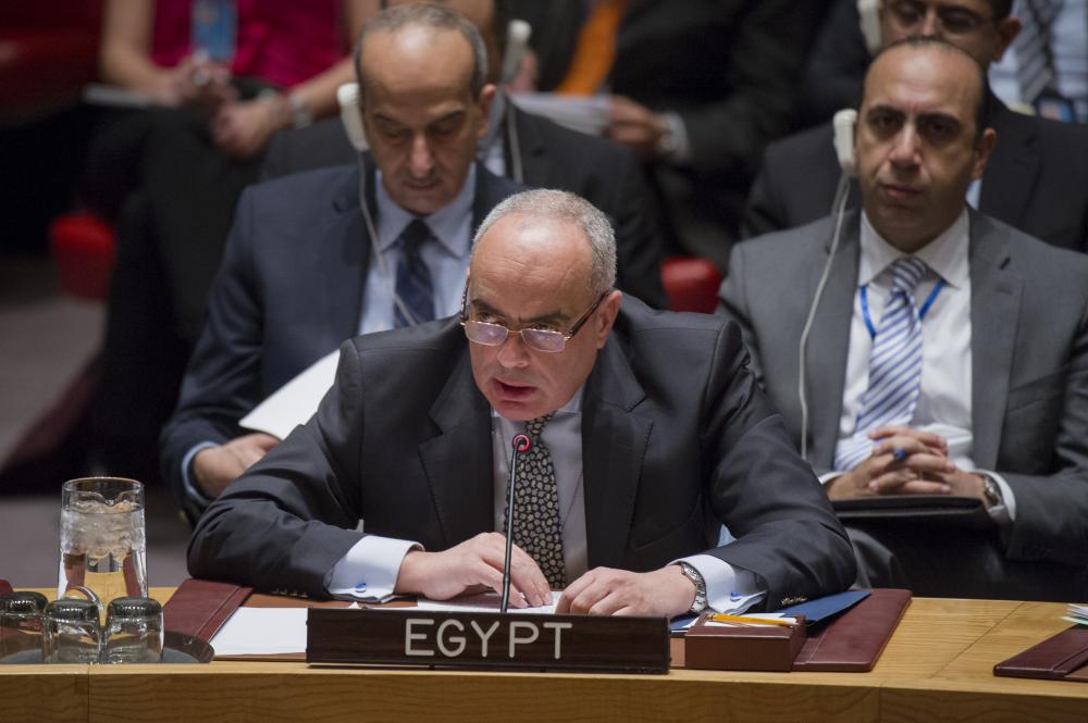 تصريح مصري لافت حول سوريا