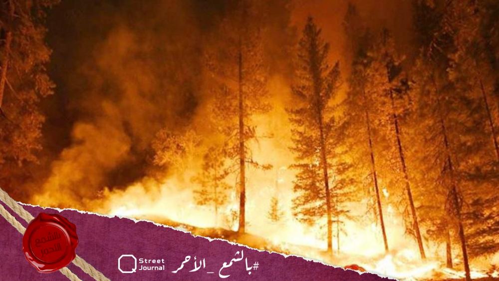 65 ألف عائلة تضررت نتيجة الحرائق في الساحل السوري 