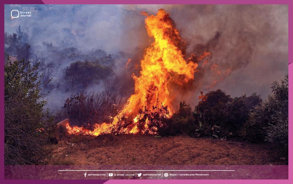 ارتفاع مؤشر خطورة الحرائق في سوريا