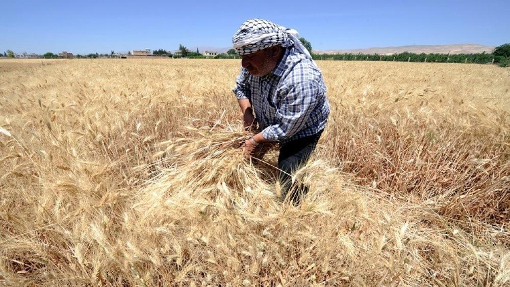 مناقصة عالمية بين سوريا روسيا